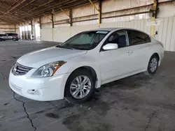 Salvage cars for sale from Copart Phoenix, AZ: 2012 Nissan Altima Base