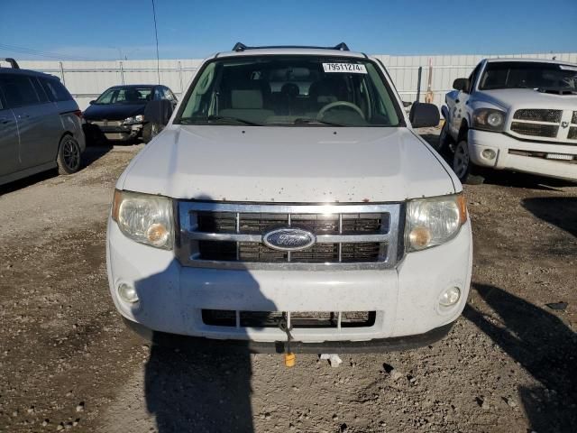 2009 Ford Escape XLT