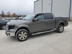 Salvage cars for sale from Copart Lawrenceburg, KY: 2013 Ford F150 Supercrew