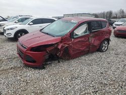 Salvage cars for sale at Wayland, MI auction: 2016 Ford Escape SE