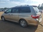 2006 Honda Odyssey EXL