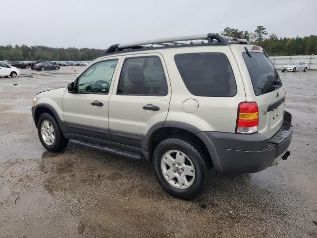 2005 Ford Escape XLT