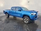 2016 Toyota Tacoma Double Cab