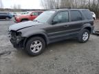 2007 Ford Escape XLT