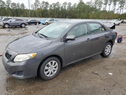 Toyota salvage cars for sale: 2010 Toyota Corolla Base