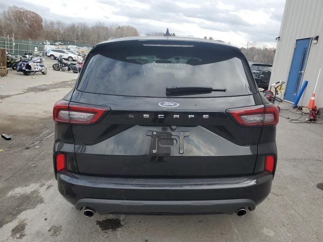 2024 Ford Escape ST Line