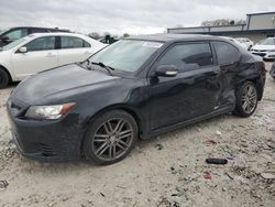 Salvage cars for sale at Wayland, MI auction: 2011 Scion TC