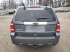 2010 Ford Escape Limited