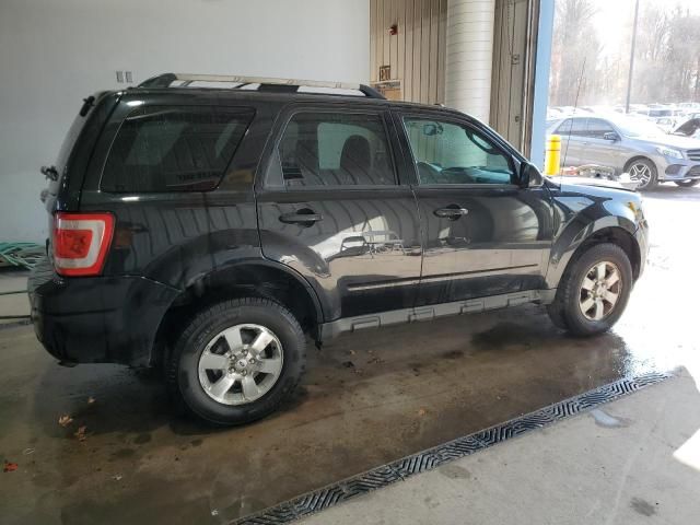 2011 Ford Escape Limited