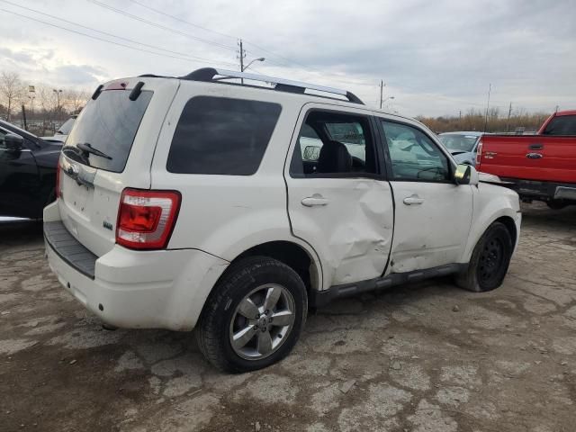 2010 Ford Escape Limited