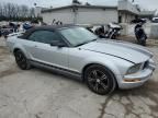 2005 Ford Mustang