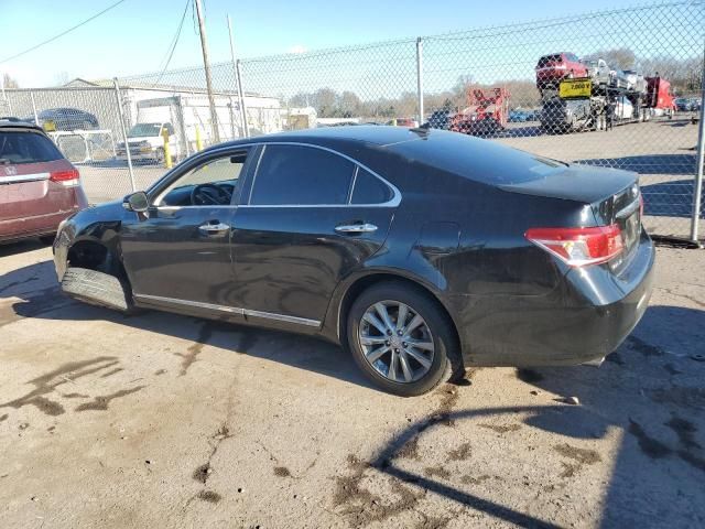 2010 Lexus ES 350