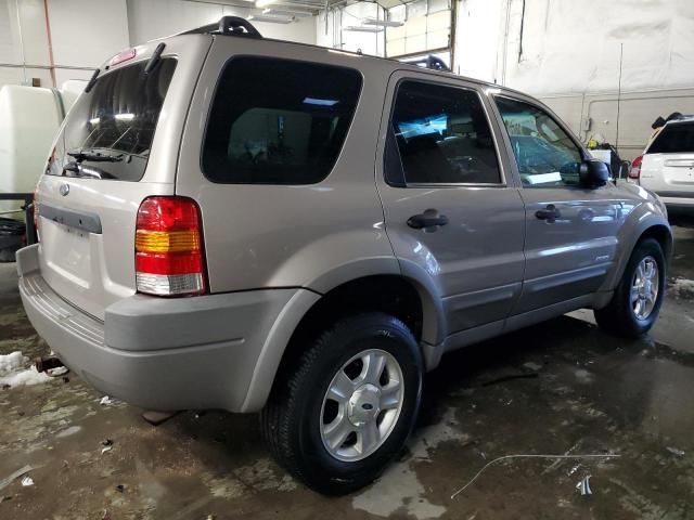 2001 Ford Escape XLT