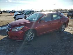 Salvage cars for sale at Indianapolis, IN auction: 2013 Chevrolet Malibu 1LT