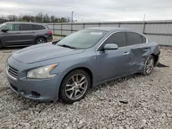 Salvage cars for sale at Lawrenceburg, KY auction: 2010 Nissan Maxima S