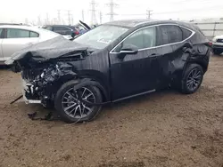 Lexus nx 350 Base salvage cars for sale: 2024 Lexus NX 350 Base