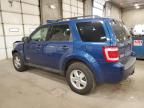 2008 Ford Escape XLT