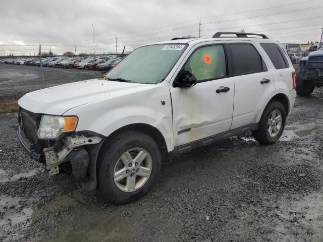 2008 Ford Escape HEV