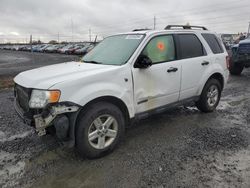 Ford salvage cars for sale: 2008 Ford Escape HEV