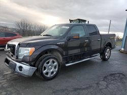 Salvage cars for sale at Chambersburg, PA auction: 2013 Ford F150 Supercrew