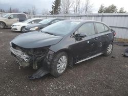 Salvage cars for sale from Copart Bowmanville, ON: 2020 Toyota Corolla SE