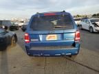 2008 Ford Escape HEV