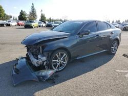 Salvage cars for sale from Copart Rancho Cucamonga, CA: 2008 Lexus IS 250