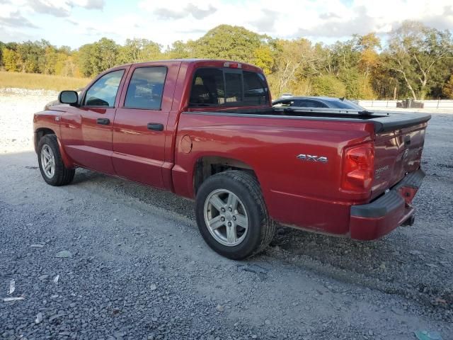 2010 Dodge Dakota SXT