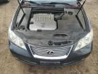 2009 Lexus ES 350