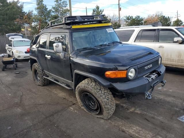 2007 Toyota FJ Cruiser