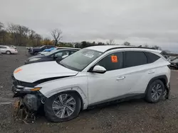 2023 Hyundai Tucson Blue en venta en Des Moines, IA