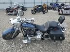 2003 Harley-Davidson Flstfi