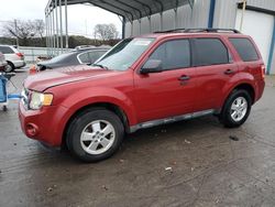 Salvage cars for sale from Copart Lebanon, TN: 2011 Ford Escape XLT