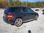 2010 Mercedes-Benz ML 350