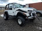 1995 Jeep Wrangler / YJ SE