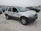 2005 Ford Escape XLT