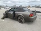 2001 Ford Mustang Cobra SVT