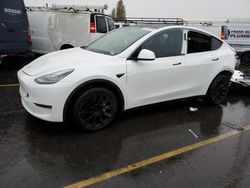 Salvage cars for sale at Hayward, CA auction: 2020 Tesla Model Y