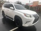 2018 Lexus GX 460