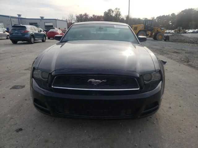 2013 Ford Mustang