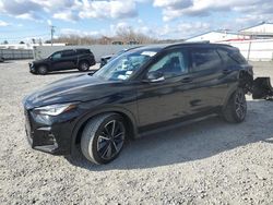 Salvage cars for sale at Albany, NY auction: 2023 Infiniti QX50 Sport