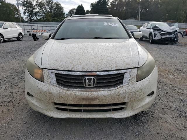 2010 Honda Accord EXL