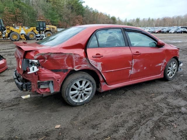 2010 Toyota Corolla Base