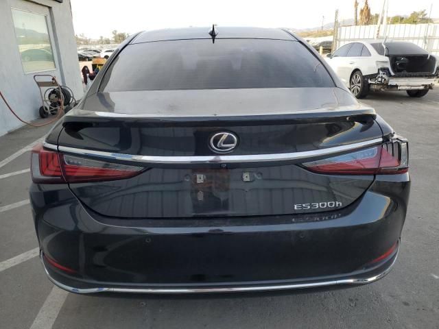 2023 Lexus ES 300H Base