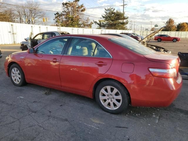 2009 Toyota Camry Hybrid