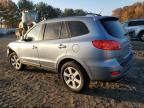 2009 Hyundai Santa FE SE