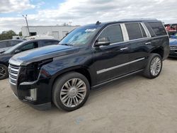 2016 Cadillac Escalade Platinum en venta en Riverview, FL