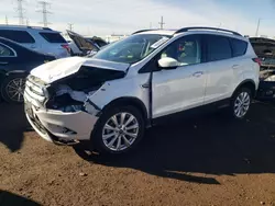 Salvage cars for sale at Elgin, IL auction: 2019 Ford Escape SEL