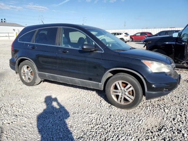 2010 Honda CR-V EXL