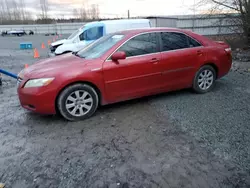 Toyota salvage cars for sale: 2009 Toyota Camry Hybrid